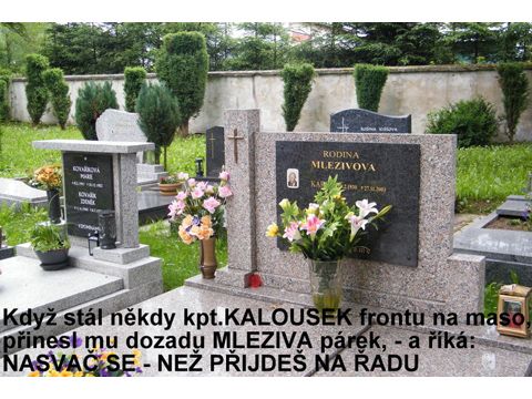 Foto 88